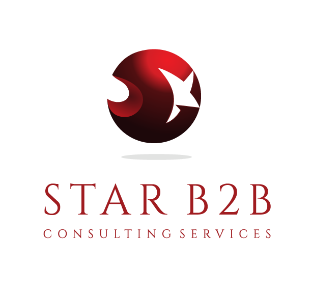 Star B2B Consulting Services